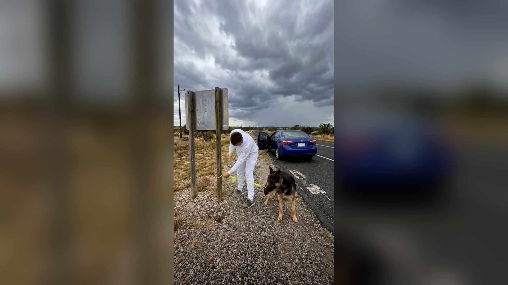 H0306019_Man Ties German Shepherd to Roadside Post & Drives Off Stranger Stops