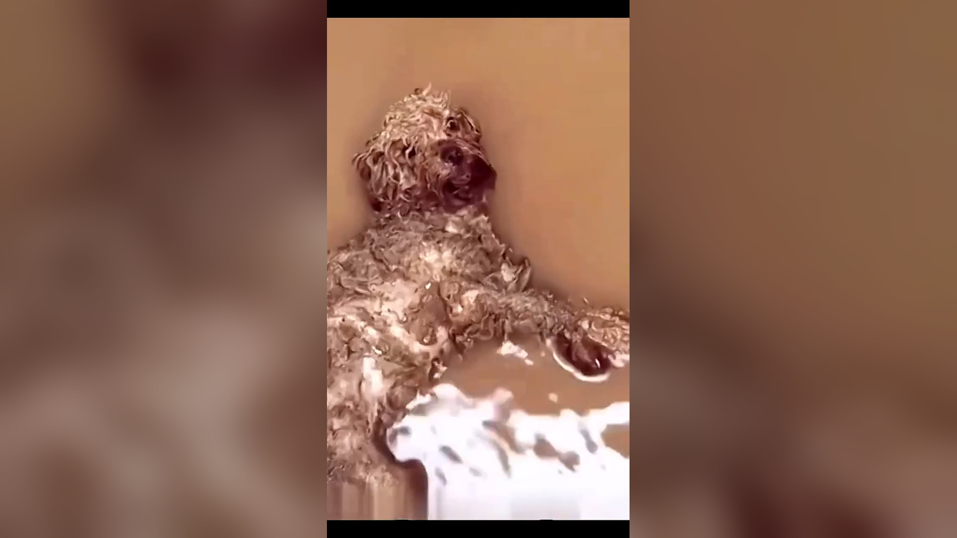 H0306007_Rescue a dog abandoned in a dirty puddle#rescueanimals #animalsoftiktok