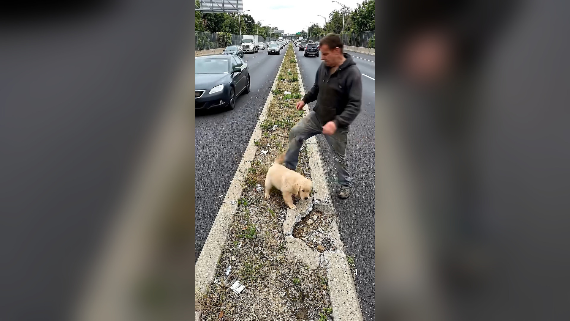 H0406027_Innocent puppy dog cries help while heartless man leaves him midway