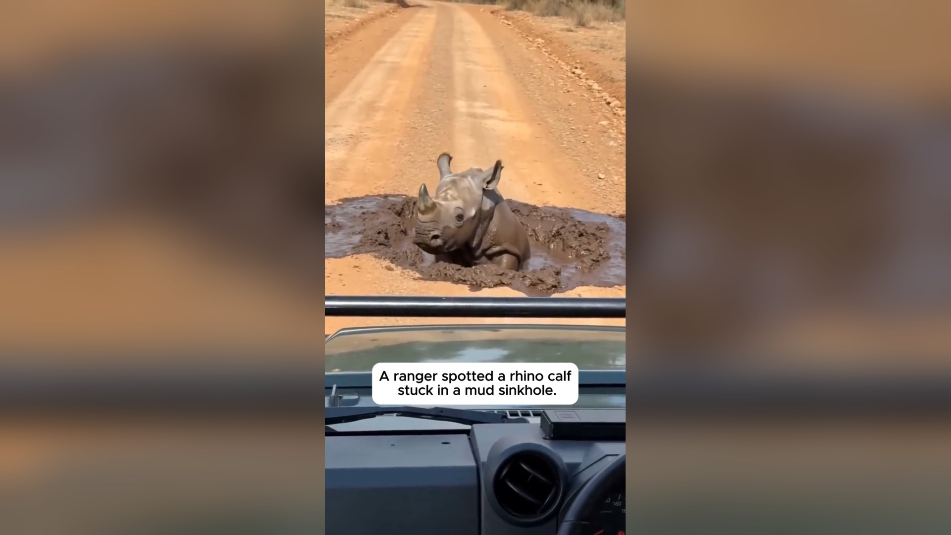 H1006022_He Pulled A Trapped Baby Rhino Out Of A Deep Sinkhole �#love #animals #rescue #wholesome #rhino