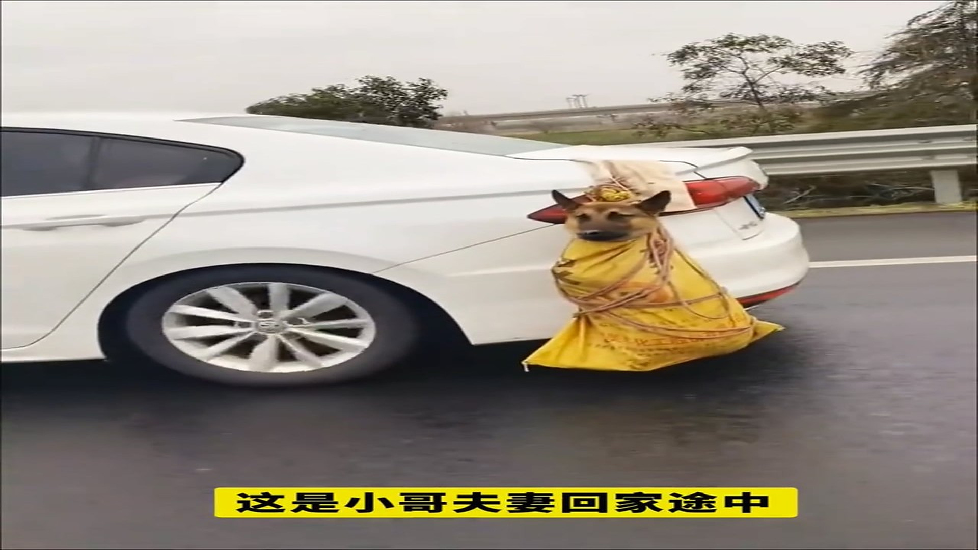 Full Video : H1506008