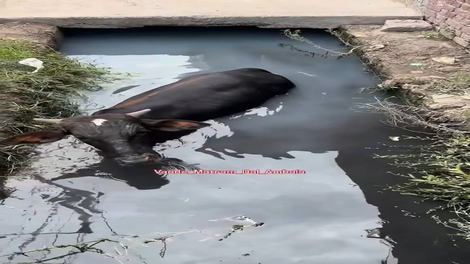 Full Video : H1806007_One more life left, this is our best friend, this is our matram dal