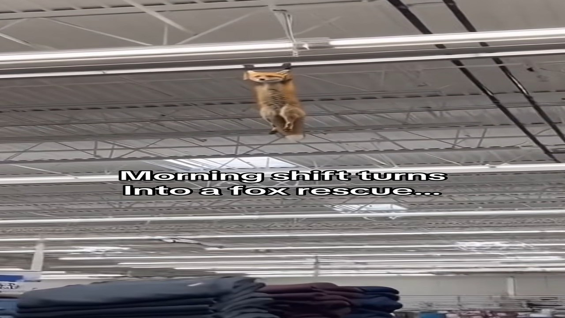 Full Video : H1906013_Morning shifts are my favorite