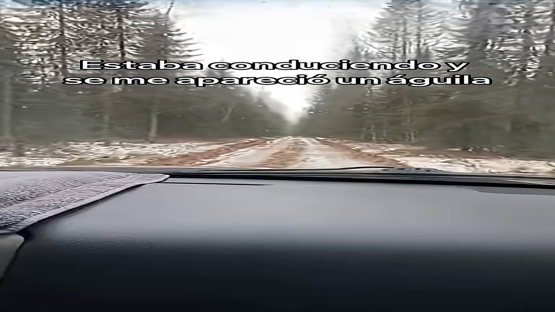 Full Video : H2006012_This Eagle Saved His Mate