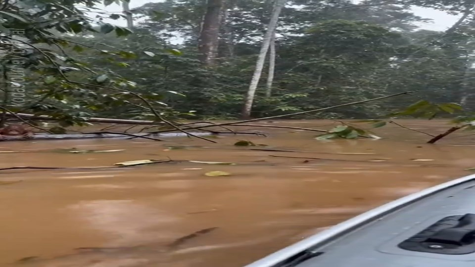 Full Video : H2206012_He was holding on after the flood… until someone finally came. ��