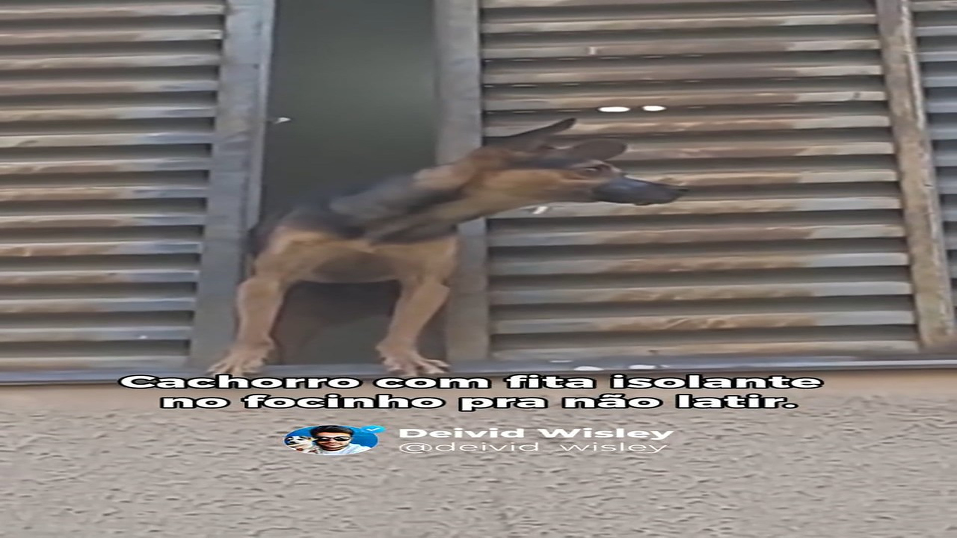 Full Video : H2206007_Nothing justifies a situation like this.