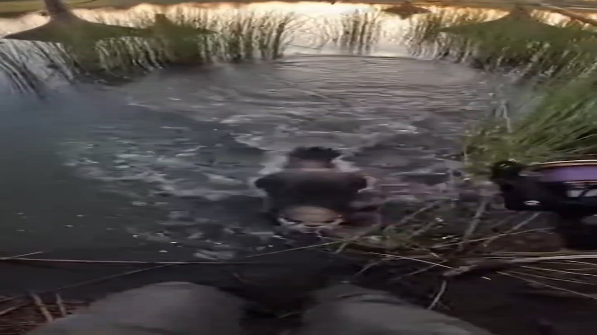 Full Video : H2206021_The Angry Otter That Attacked Me… Was Begging Me to Save Her Baby