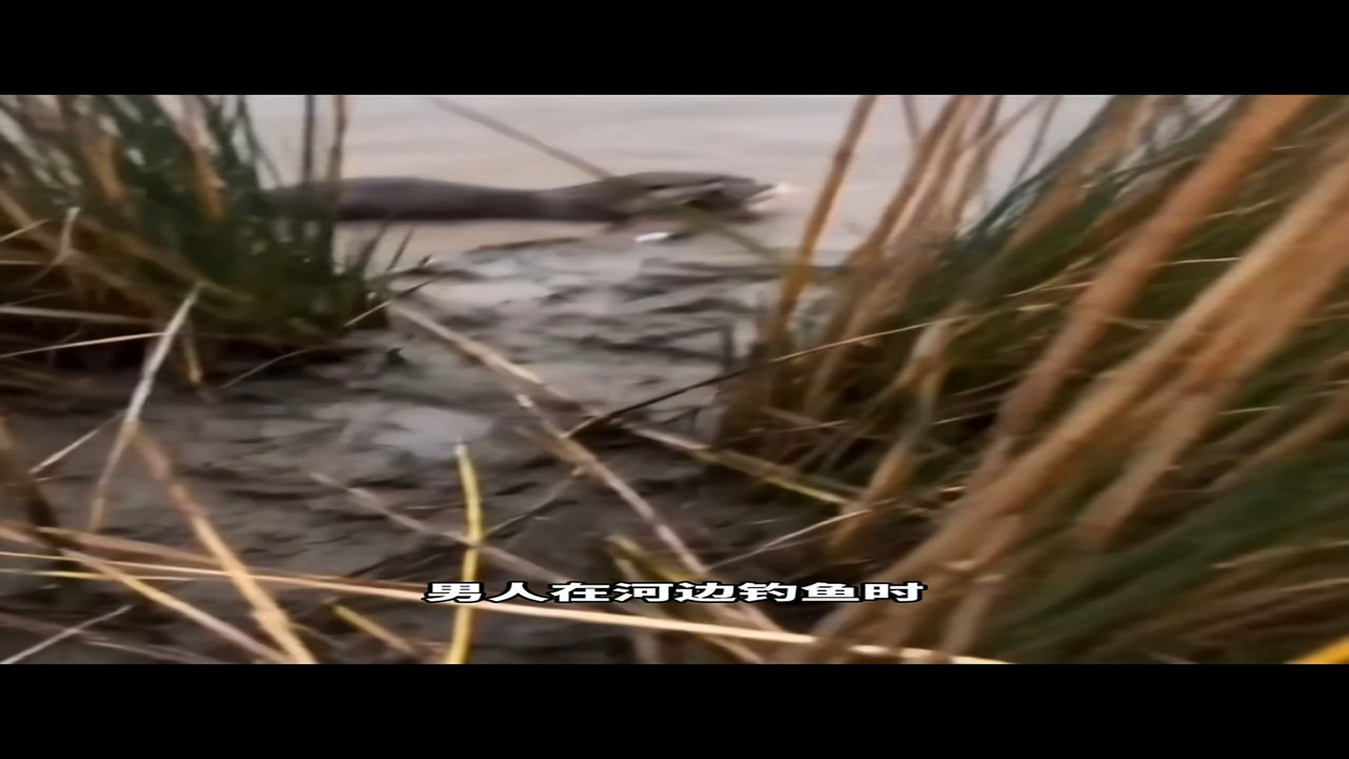 Full Video : H2406001_Trapped Animal Cries For Rescue