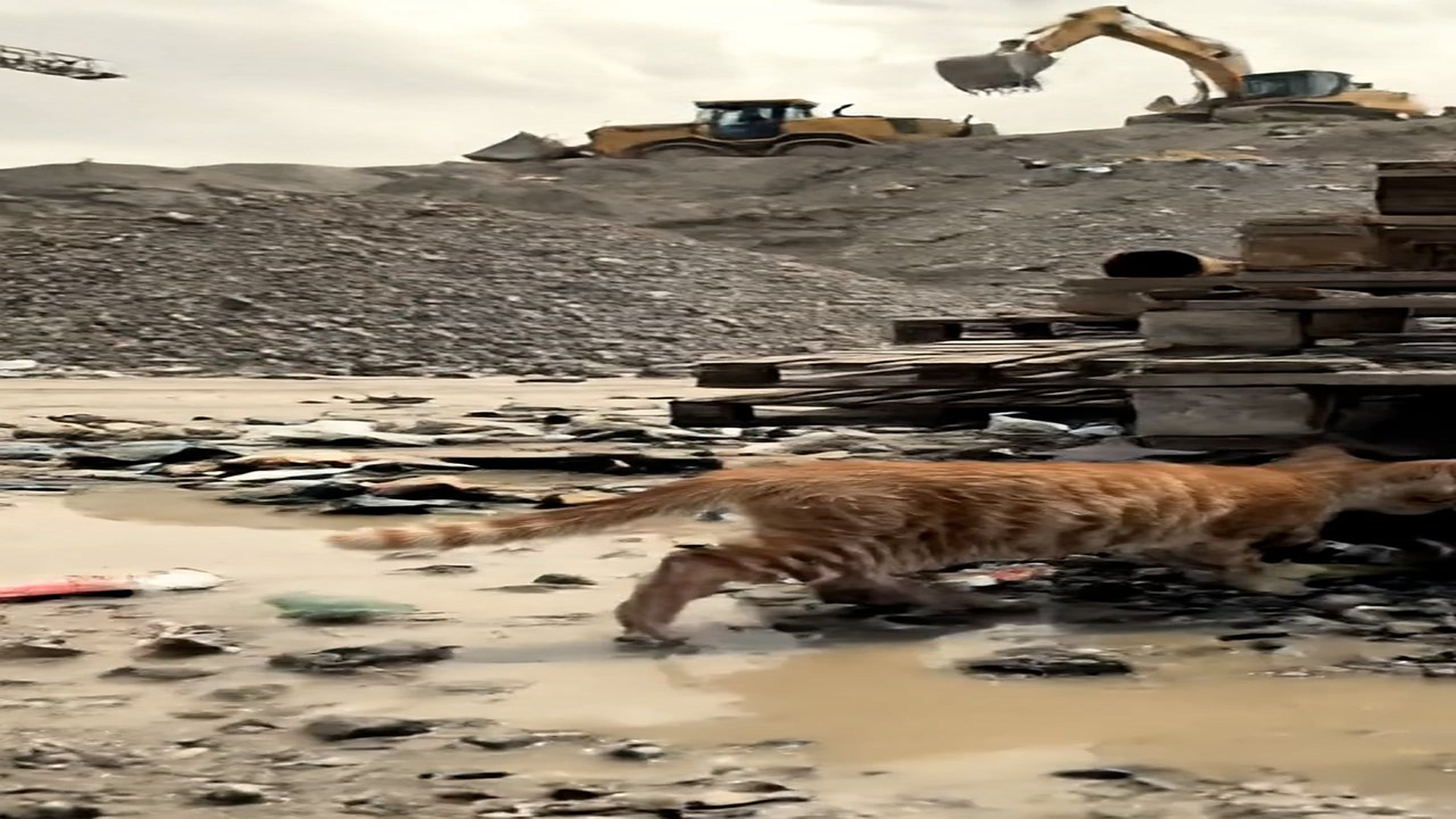 merged_video_20260624_085507_part2