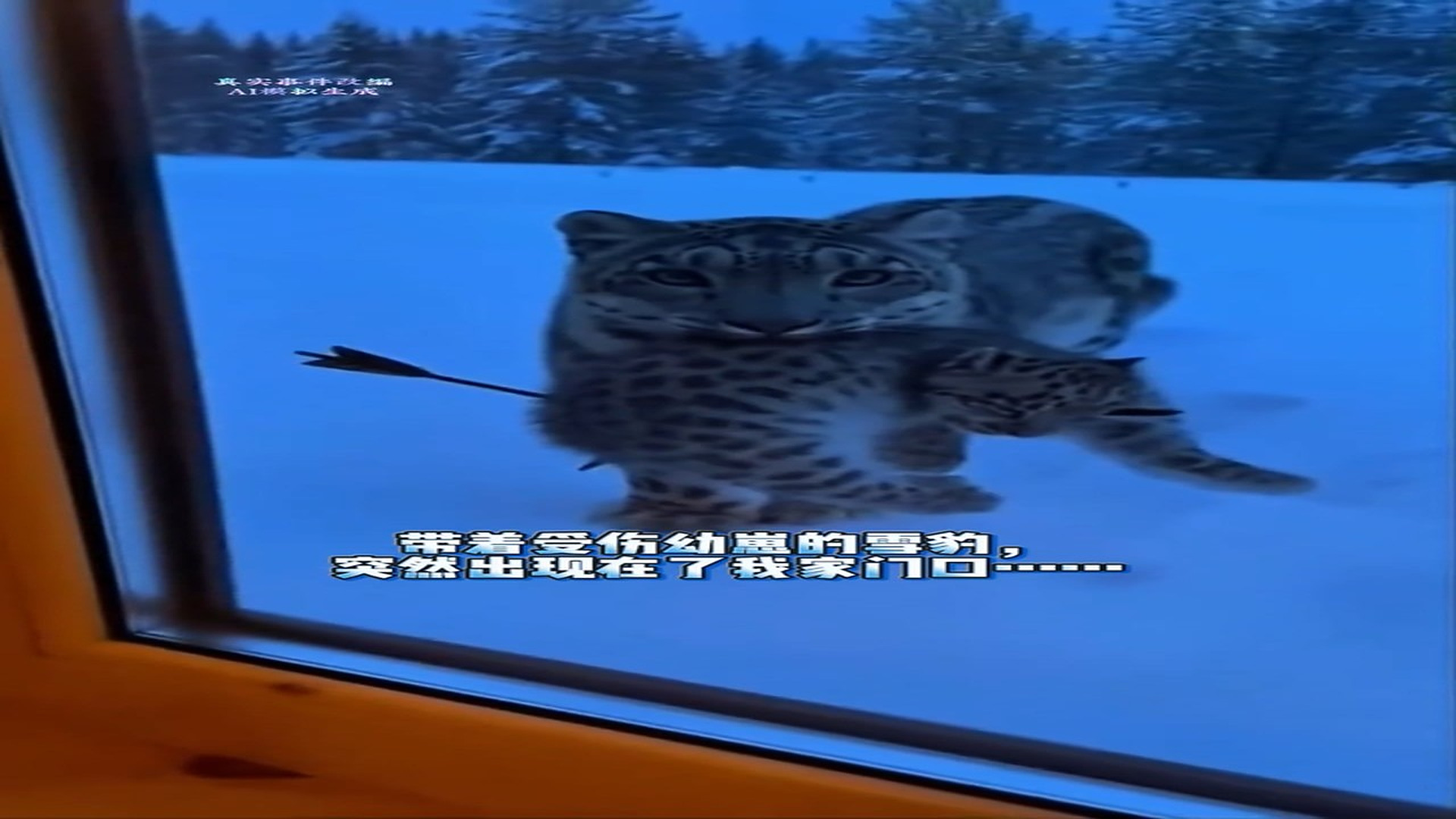 Full Video : H2706018_Rescue Team Finds An Animal In Desperate Condition