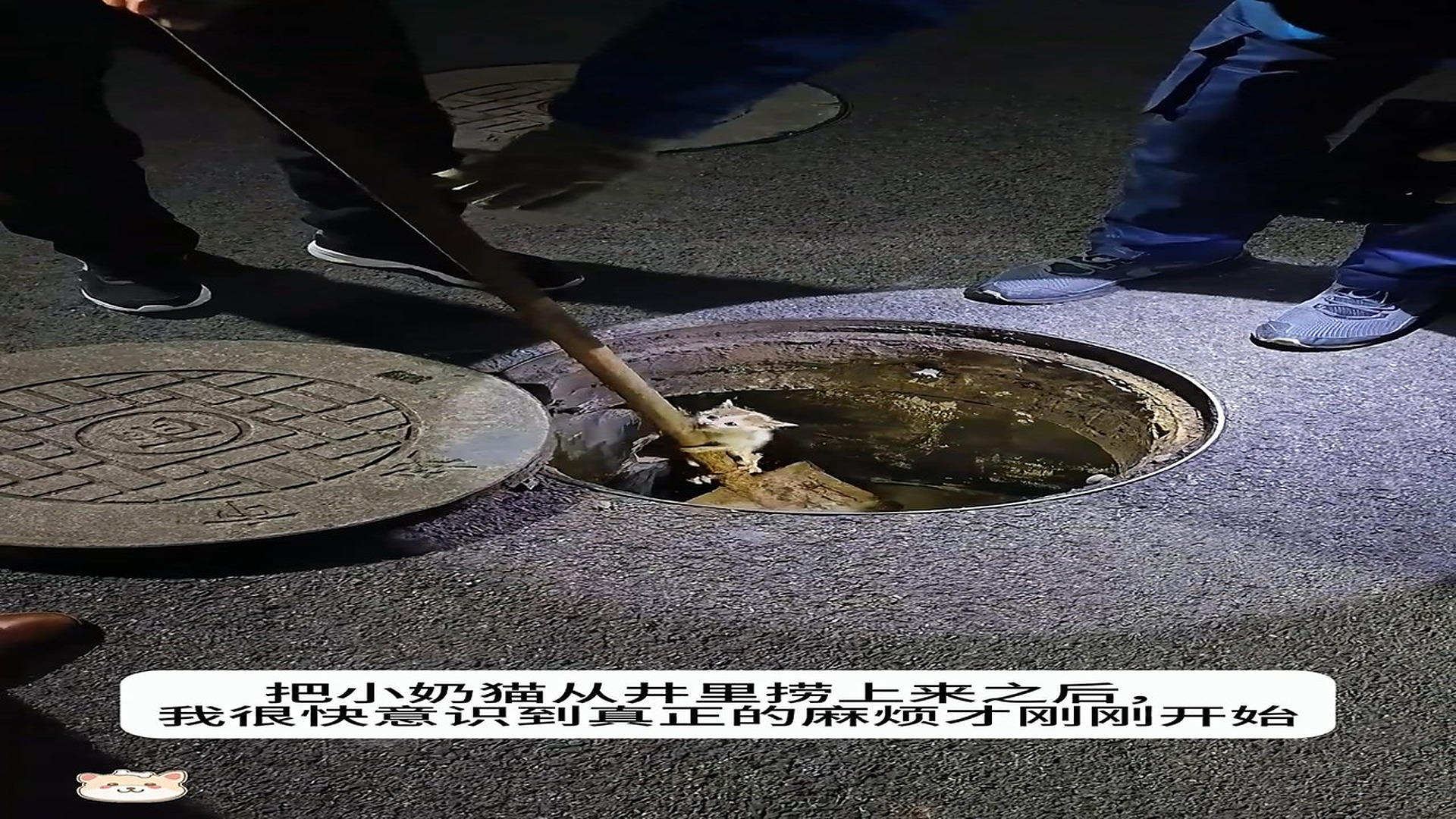 Full Video : H2706016_Trapped Animal Cries For Rescue