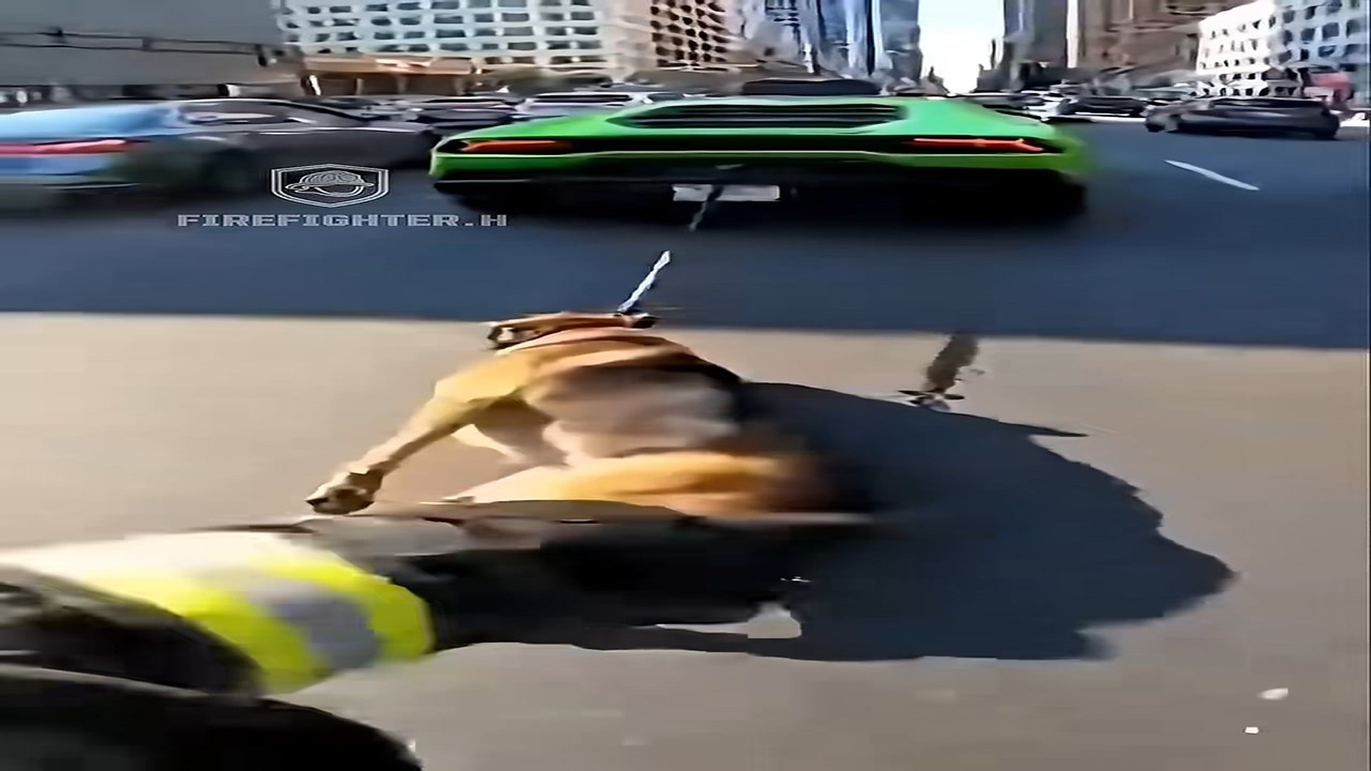 Full Video : H2906028_I Saved A Dog That Was Dragged By A Car �