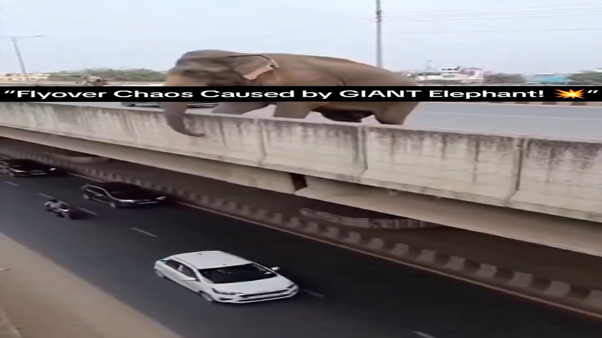 Full Video : H3006020_Giant Elephant Breaks Flyover Wall & Falls � Massive Animal Chaos in ActionEveryone survived… but