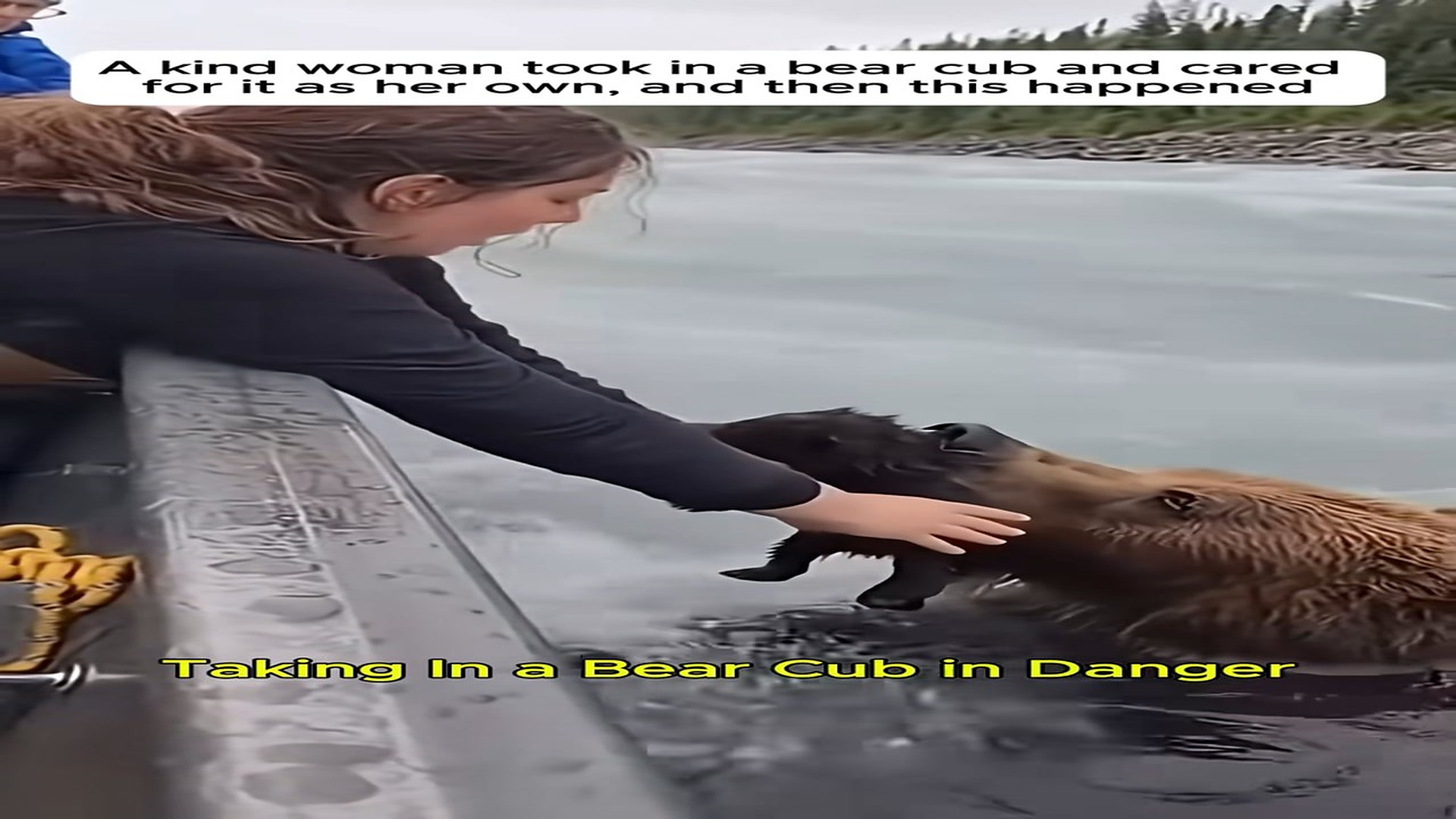 Full Video : H3006015_Adopted an orphaned bear cub