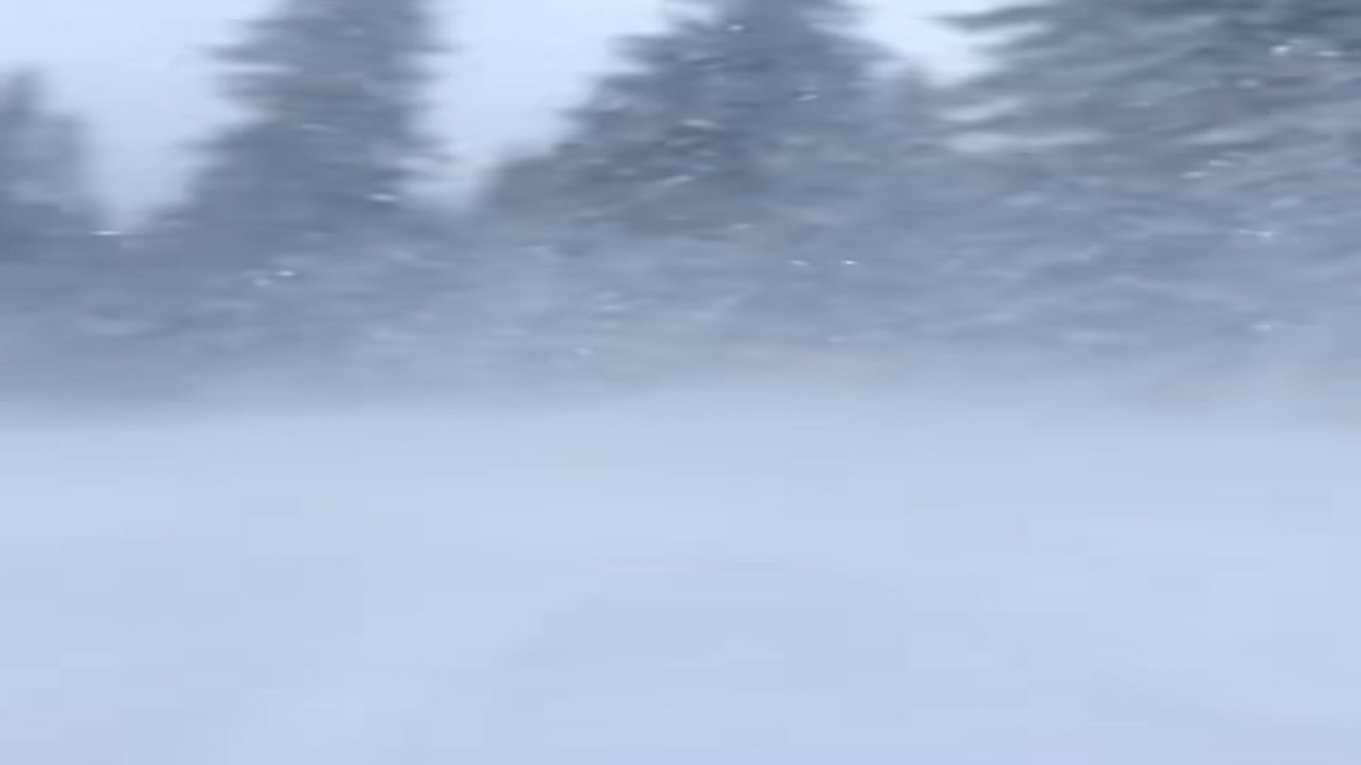 Full Video : H0107041_Whispers of the Northwind An Epic Blizzard Rescue and the Heartwarming Bond That Defied the Ice