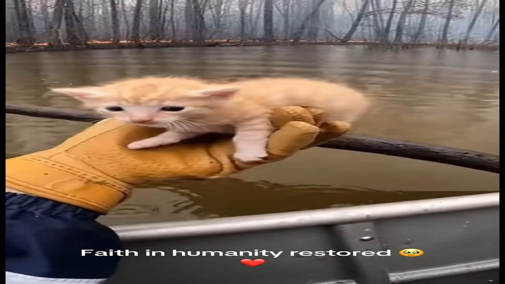 Full Video : H0107028_Kindness is one of the greatest superpowers we have. Never underestimate the difference one person c