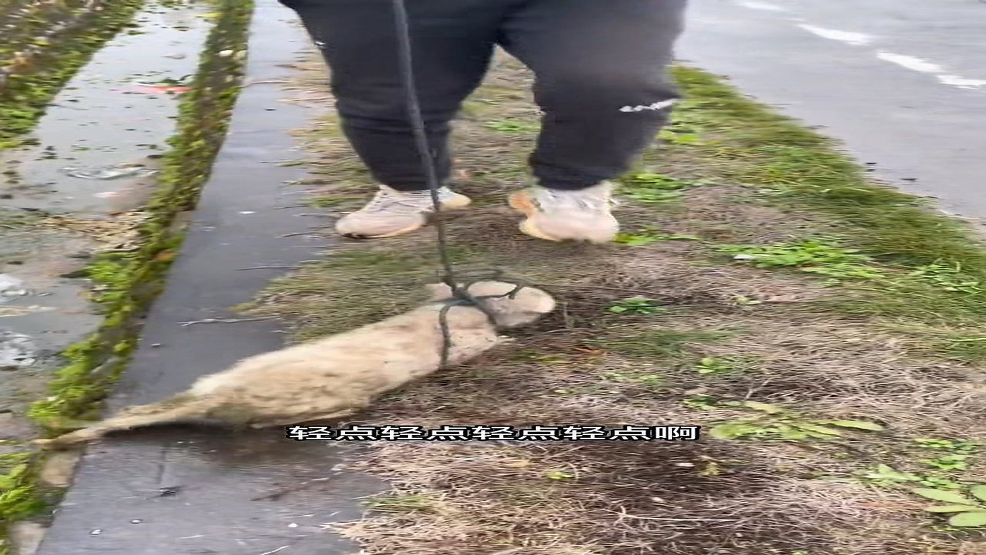 Full Video : H0307033_What did this guy go through to become so vicious at such a young age