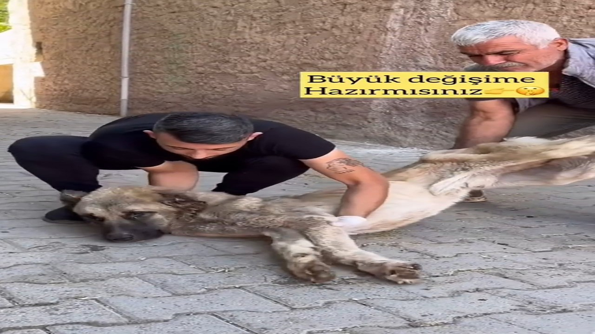 Full Video : H0307007_This is a world where conscience and mercy are silent