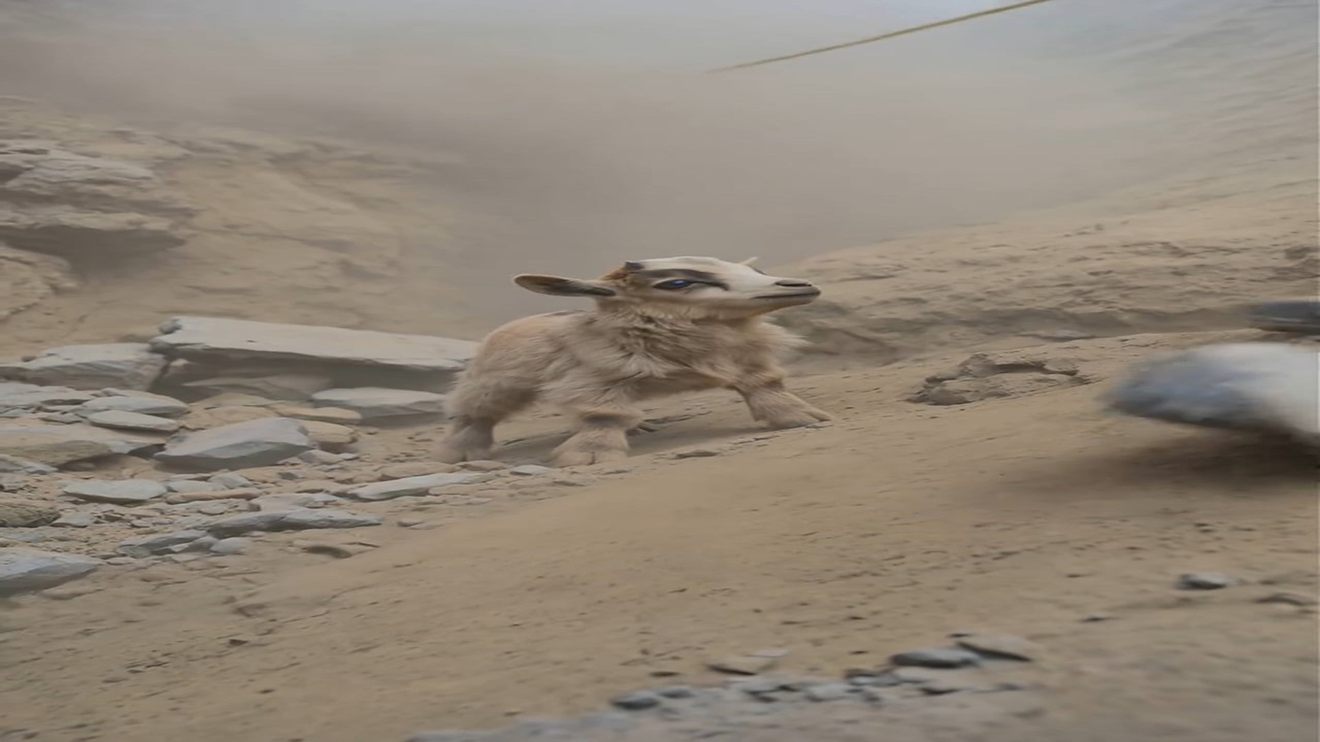 Full Video : H0307008_Brave Climber Saves Stranded Baby Goat!