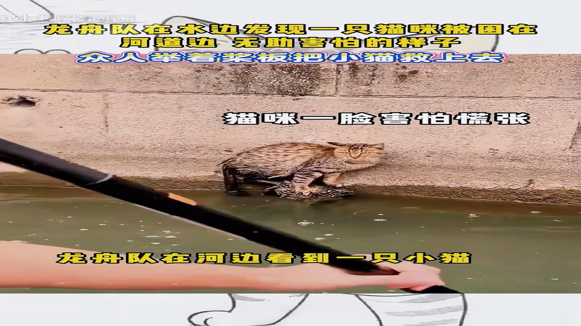 Full Video : H0607007