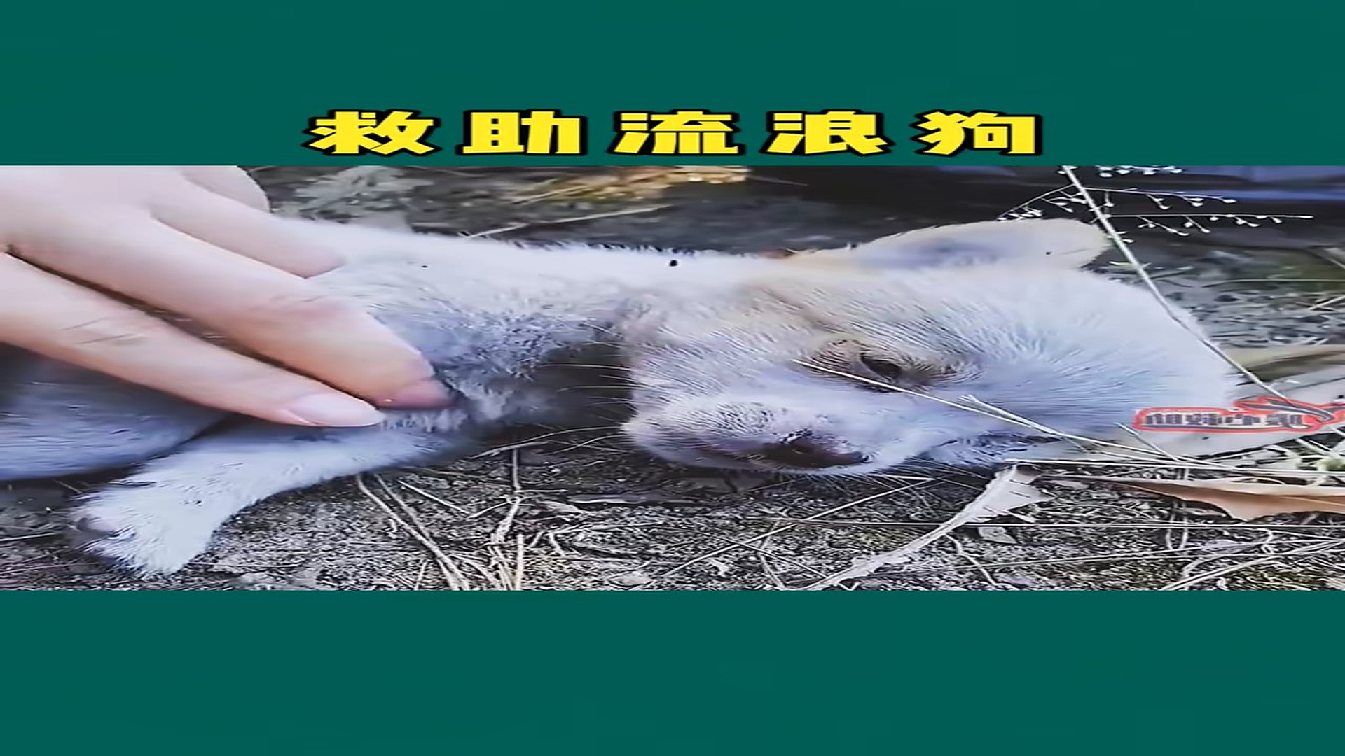 Full Video : H0607006
