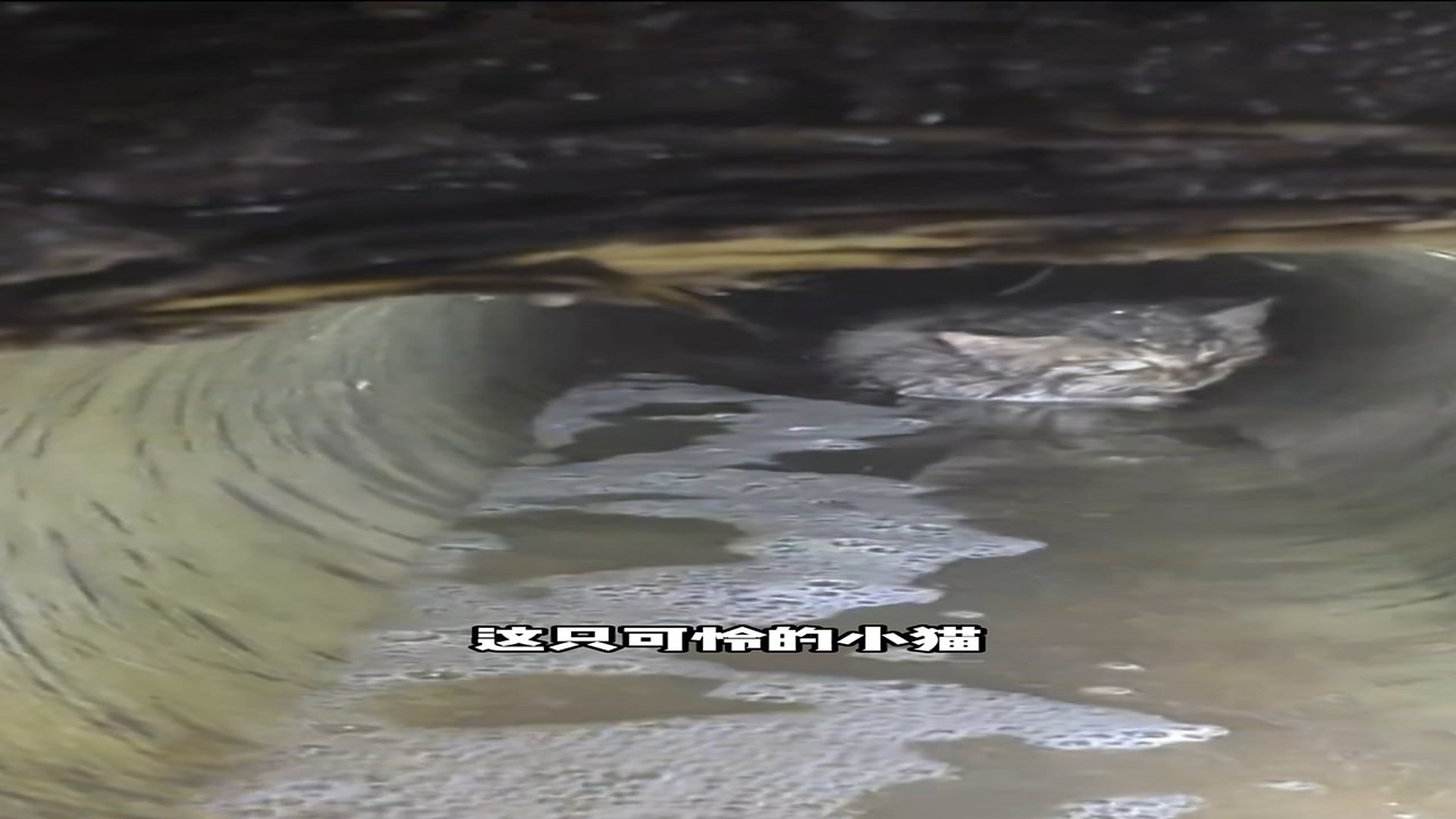 Full Video : H0607001