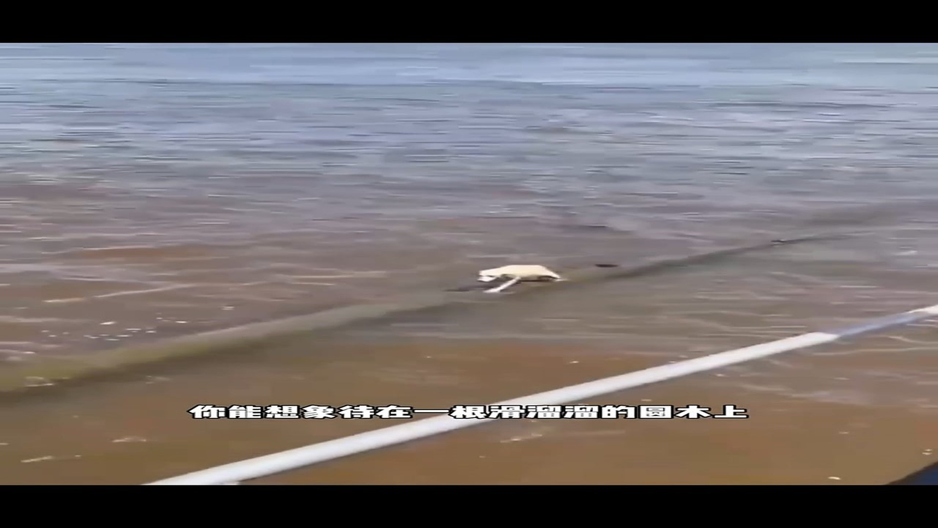 Full Video : H0607004