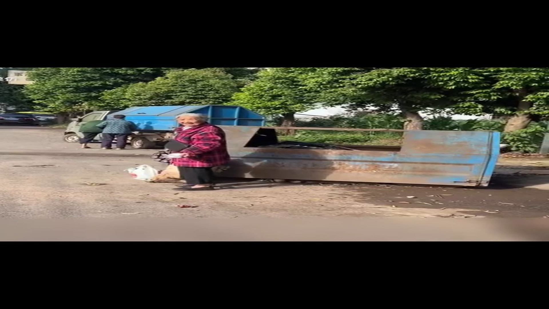 Full Video : H0707021_Greyhound was sick abandoned, thrown into a trash can!