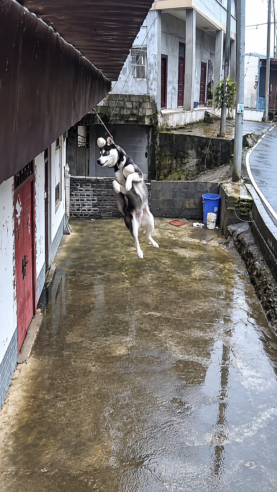 Full rescue here: T2109001_Rescue Story