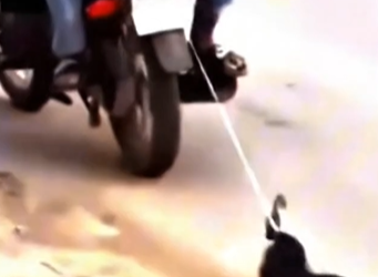 Full rescue here: T0609020_This Animal Was Waiting For A Miracle