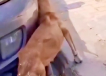 Full story here: T0510018_Don t wait perfect moment to help help when you can